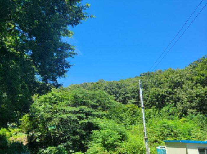 전라남도 여수시 오림동 산61 임야 경매 사진 14