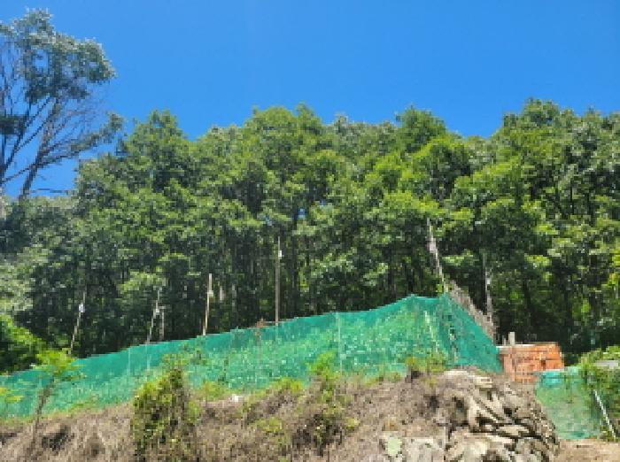 전라남도 여수시 오림동 산61 임야 경매 사진 17