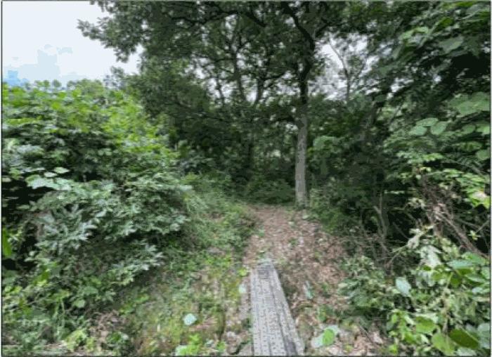 전라남도 여수시 오림동 산61 임야 경매 사진 2