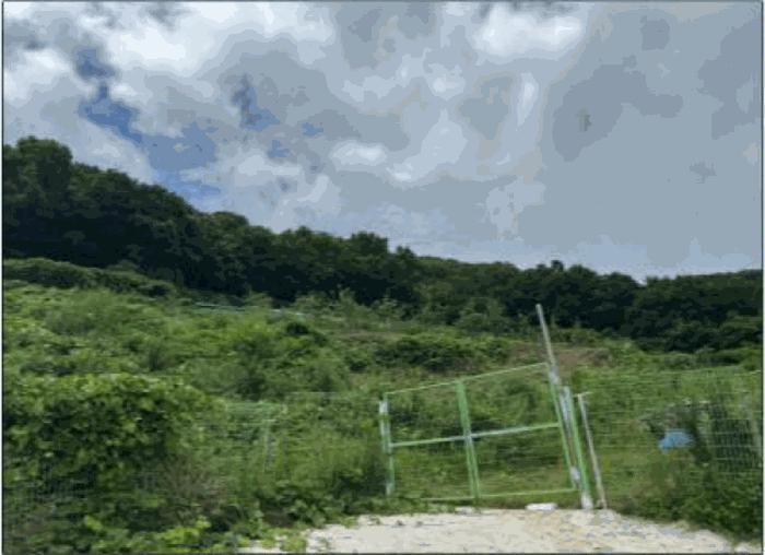 전라남도 여수시 오림동 산61 임야 경매 사진 4