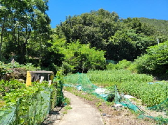 전라남도 여수시 오림동 산61 임야 경매 사진 8