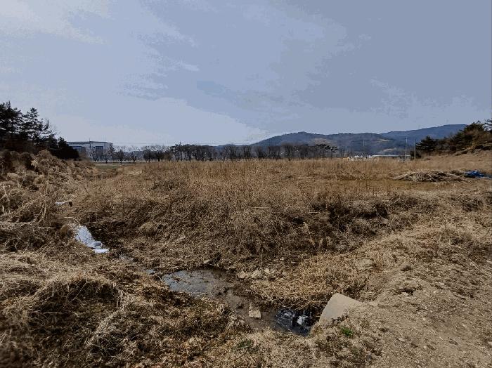 대구광역시 달성군 구지면 오설리 783 답 경매 사진 1