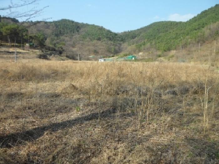 대구광역시 달성군 구지면 오설리 783 답 경매 사진 10