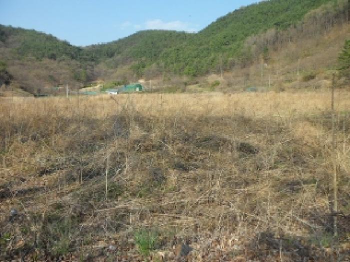 대구광역시 달성군 구지면 오설리 783 답 경매 사진 11