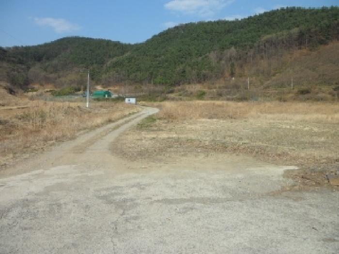 대구광역시 달성군 구지면 오설리 783 답 경매 사진 12