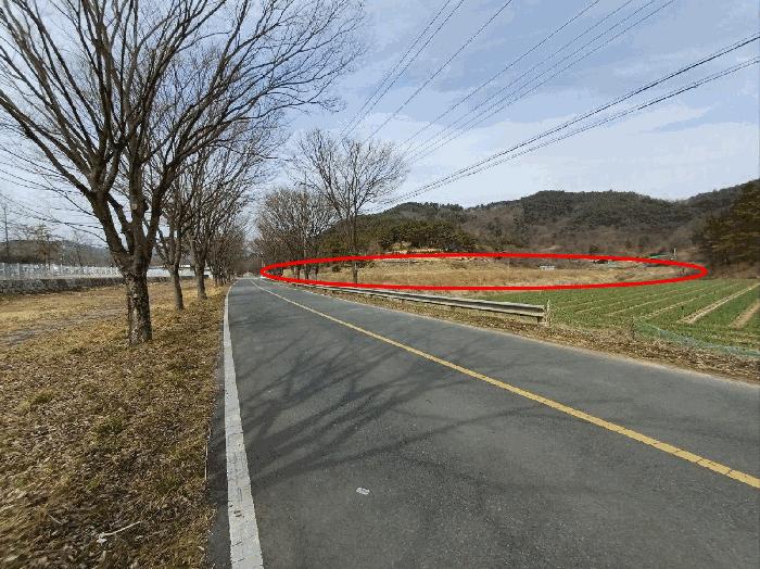 대구광역시 달성군 구지면 오설리 783 답 경매 사진 3