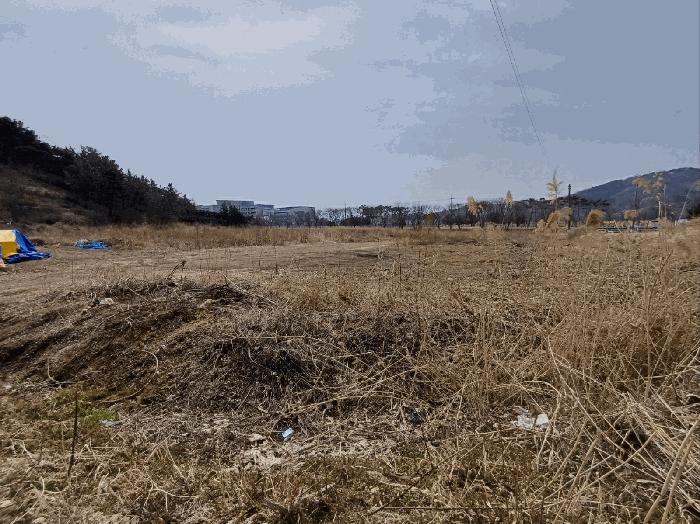 대구광역시 달성군 구지면 오설리 783 답 경매 사진 4