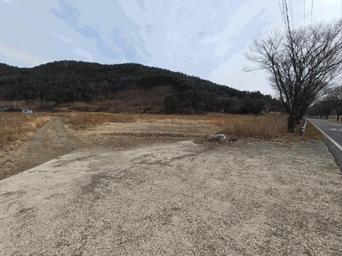 대구광역시 달성군 구지면 오설리 783 답 경매 사진 5