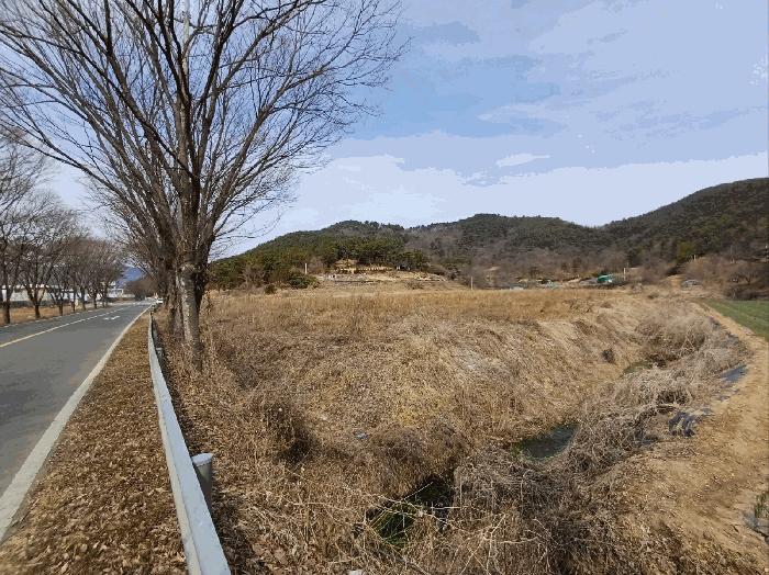 대구광역시 달성군 구지면 오설리 783 답 경매 사진 6