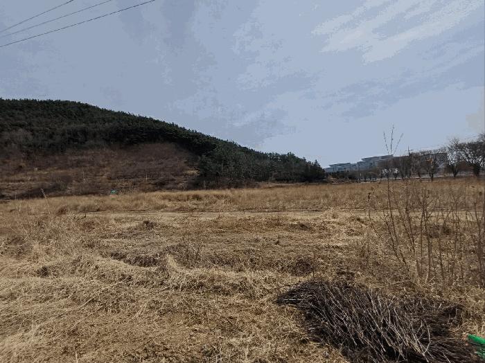 대구광역시 달성군 구지면 오설리 783 답 경매 사진 8