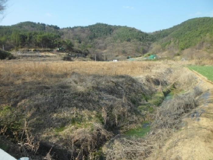 대구광역시 달성군 구지면 오설리 783 답 경매 사진 9