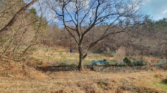 경상남도 창원시 마산합포구 구산면 내포리 966 전 경매 사진 3