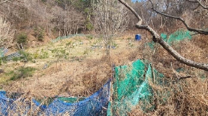 경상남도 창원시 마산합포구 구산면 내포리 966 전 경매 사진 4