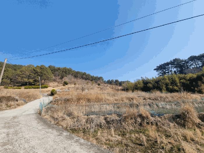 경상남도 창원시 마산합포구 진동면 신기리 252 답 경매 사진 6