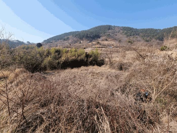 경상남도 창원시 마산합포구 진동면 신기리 252 답 경매 사진 7