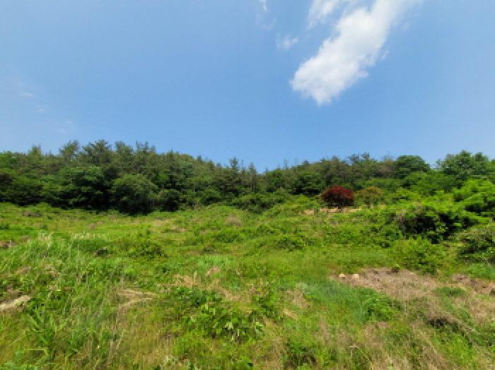 전라남도 순천시 상사면 흘산리 산232-1 임야 경매 사진 19