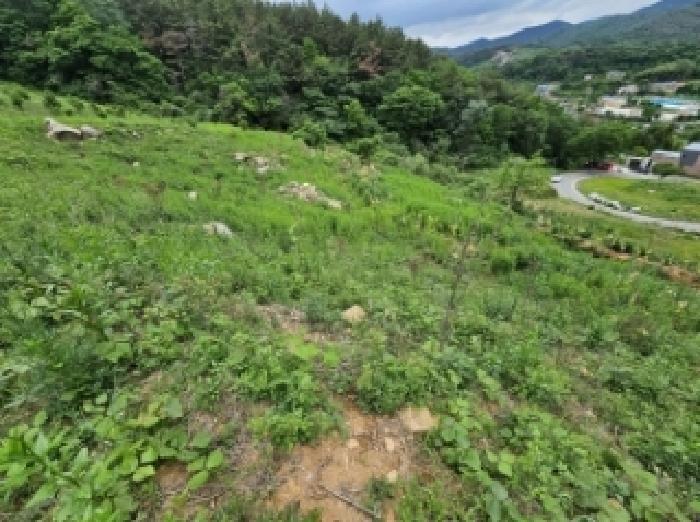 전라남도 순천시 상사면 흘산리 산232-1 임야 경매 사진 34