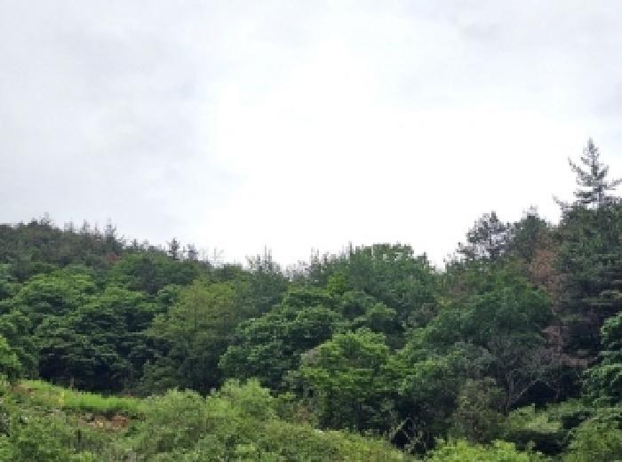전라남도 순천시 덕월동 산178-1 임야 경매 사진 23