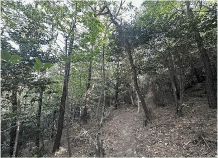 전라남도 광양시 마동 산64 임야 경매 사진 1