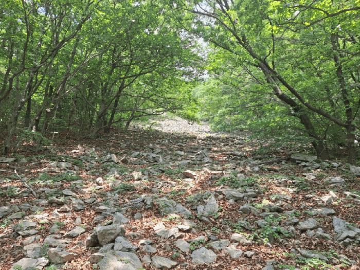 전라남도 여수시 봉계동 산139 임야 경매 사진 2