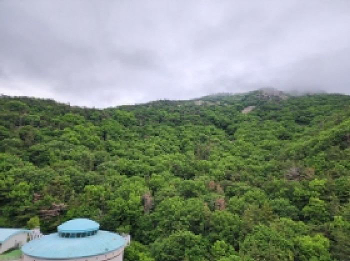 전라남도 여수시 봉계동 산139 임야 경매 사진 6