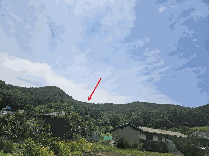 경상북도 청도군 이서면 칠엽리 산135-1 임야 경매 사진 1