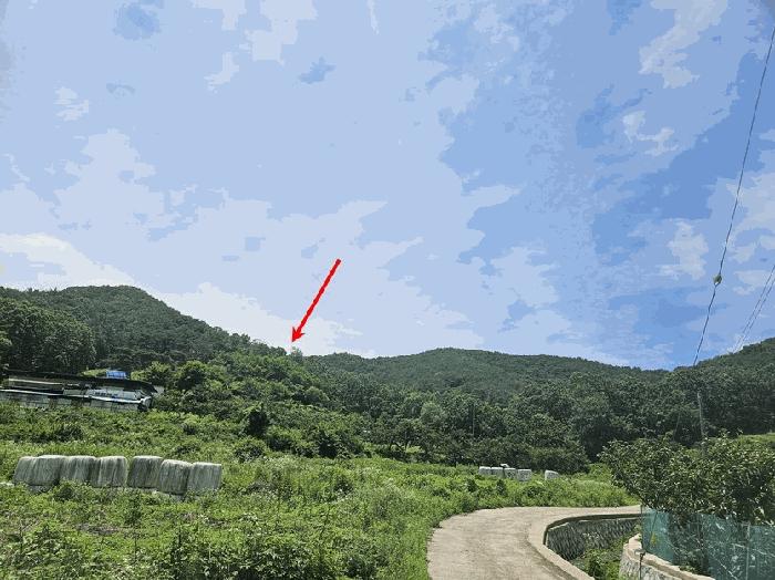 경상북도 청도군 이서면 칠엽리 산135-1 임야 경매 사진 3