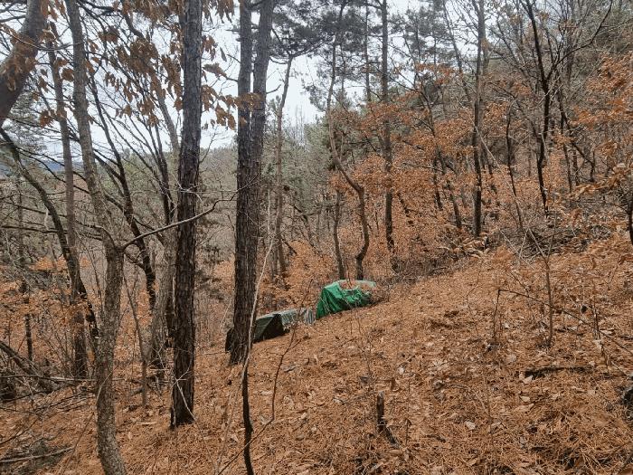 경상북도 구미시 선산읍 노상리 169 전 경매 사진 1