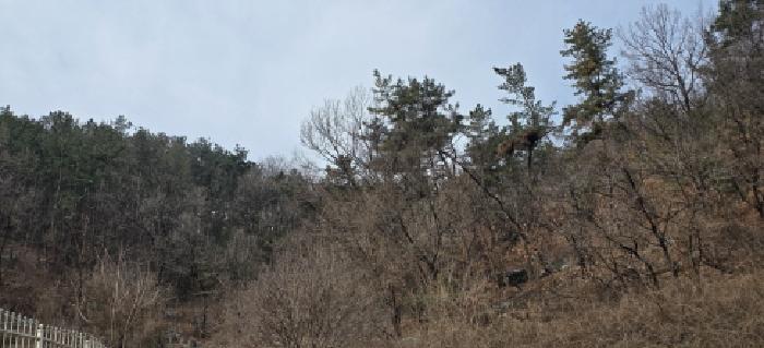 경상북도 구미시 선산읍 노상리 169 전 경매 사진 6