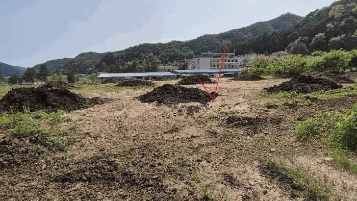강원특별자치도 화천군 상서면 노동리 525 답 경매 사진 12