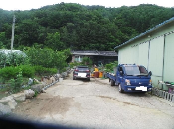 강원특별자치도 화천군 상서면 노동리 525 답 경매 사진 18