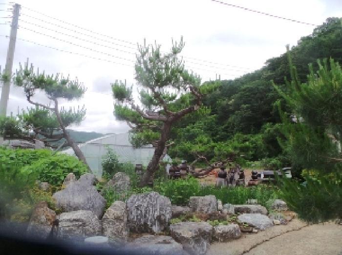 강원특별자치도 화천군 상서면 노동리 525 답 경매 사진 20