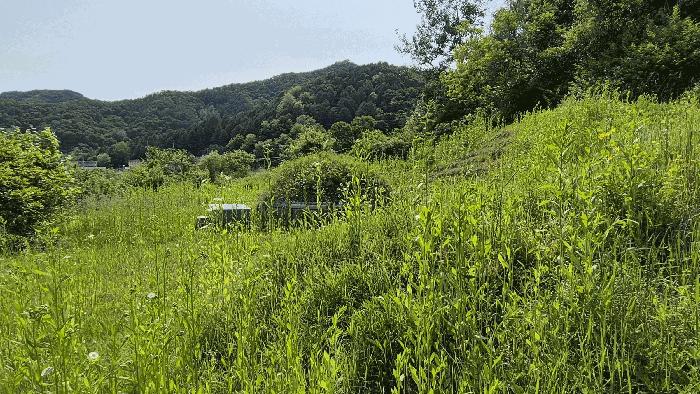 강원특별자치도 화천군 상서면 노동리 525 답 경매 사진 8