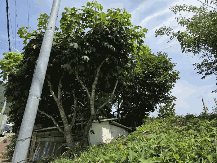 경상남도 양산시 소주동 1020-120 대지 경매 사진 1