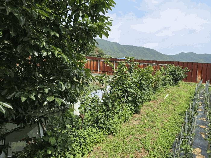 경상남도 양산시 소주동 1020-120 대지 경매 사진 3