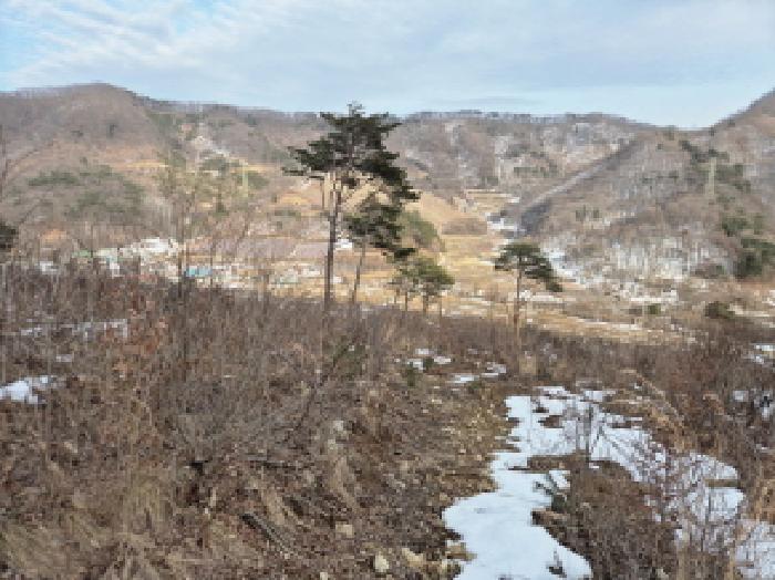 전북특별자치도 진안군 정천면 갈용리 산157-1 임야 경매 사진 12