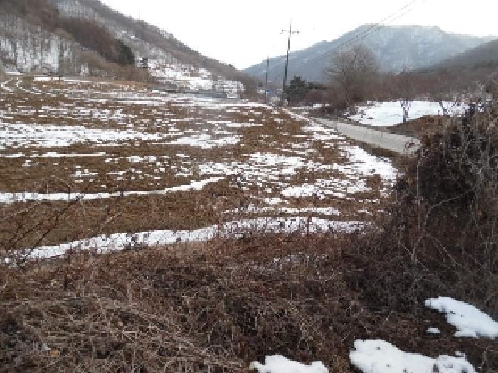 전북특별자치도 진안군 정천면 갈용리 산157-1 임야 경매 사진 34