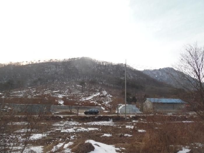 전북특별자치도 진안군 정천면 갈용리 산157-1 임야 경매 사진 4