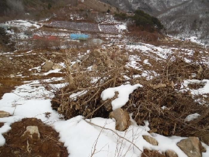 전북특별자치도 진안군 정천면 갈용리 산157-1 임야 경매 사진 6