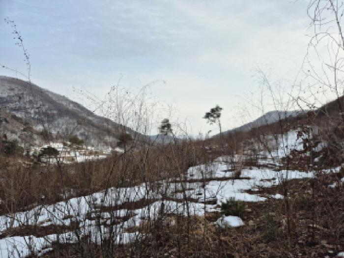 전북특별자치도 진안군 정천면 갈용리 산157-1 임야 경매 사진 8