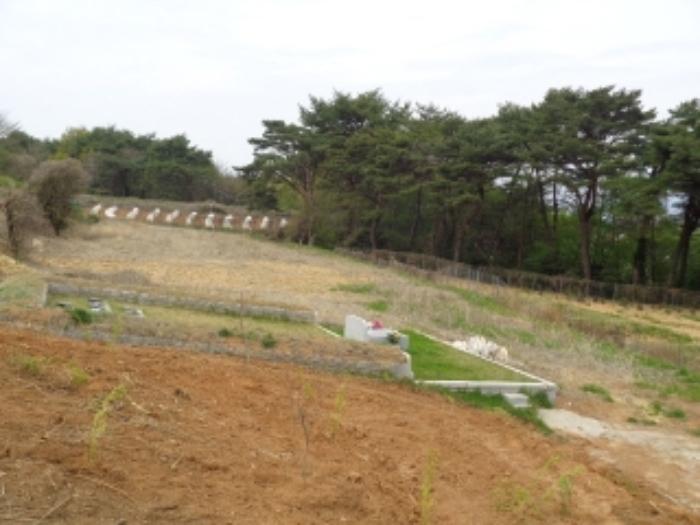 경상남도 남해군 서면 중현리 271 답 경매 사진 11
