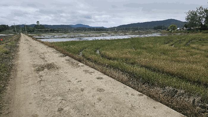 충청남도 보령시 웅천읍 독산리 663-5 근린시설 경매 사진 3