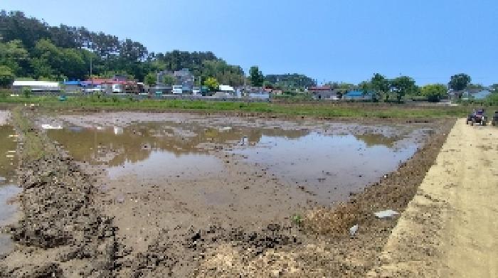 충청남도 보령시 웅천읍 독산리 663-5 근린시설 경매 사진 5