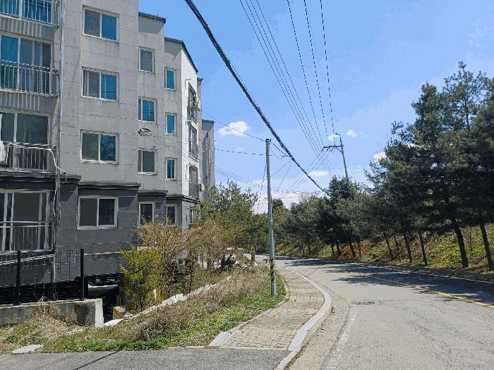 경기도 파주시 파주읍 파주리 520-6 2동 2층203호 다세대(빌라) 경매 사진 4