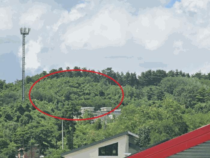 강원특별자치도 강릉시 홍제동 산283-4 임야 경매 사진 4