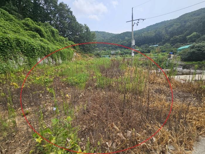 경상남도 양산시 상북면 대석리 95-6 임야 경매 사진 1