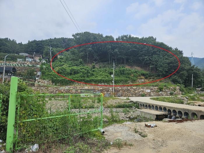 경상남도 양산시 상북면 대석리 95-6 임야 경매 사진 3