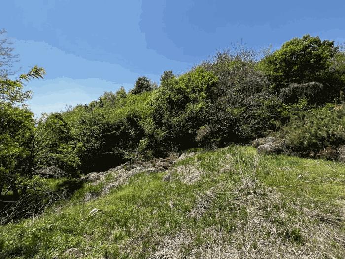 충청북도 진천군 광혜원면 실원리 294-1 전 경매 사진 3