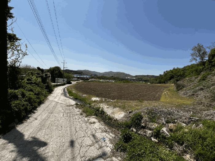 충청북도 진천군 광혜원면 실원리 294-1 전 경매 사진 5
