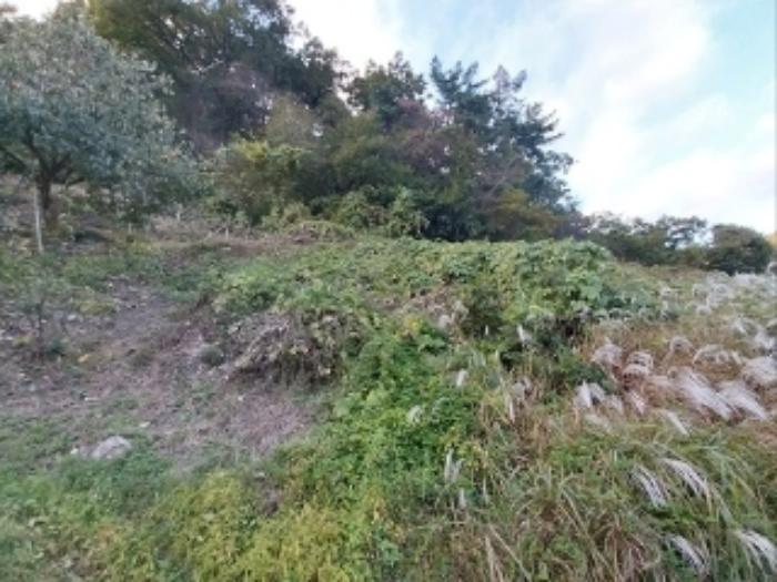 충청남도 공주시 유구읍 녹천리 363-4 전 경매 사진 8